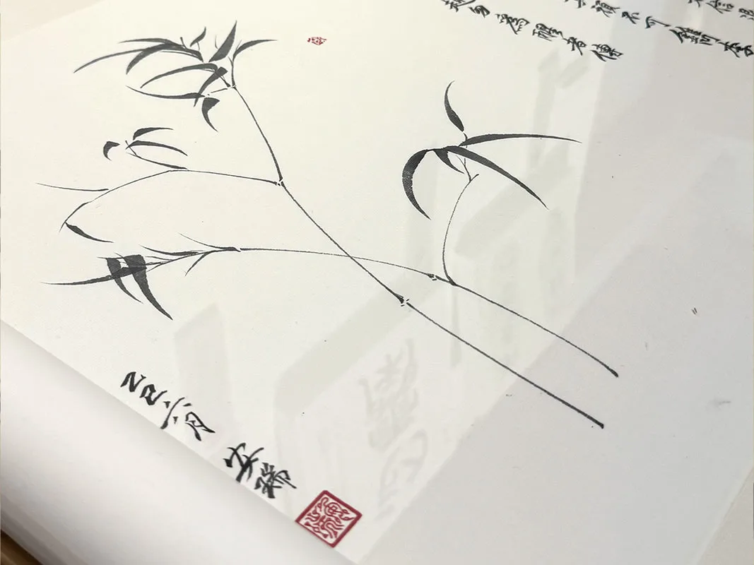 圖片